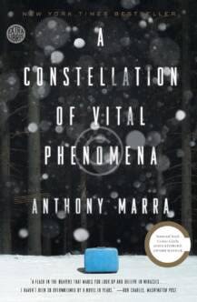 A Constellation of Vital Phenomena